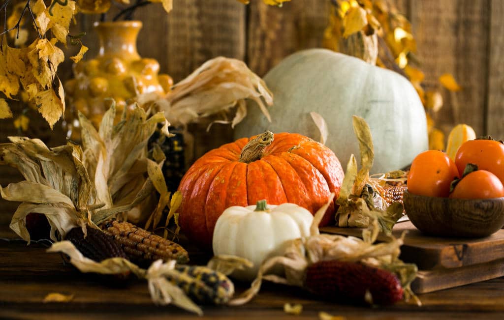An arrangement of a pumpkin, cobs of corn, squash, and tomatoes on a wooden table.