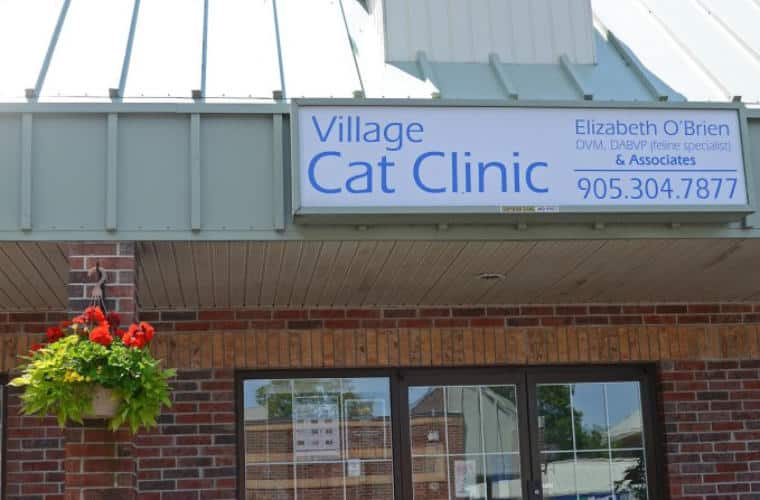 The sign above Village Cat Clinic entrance.